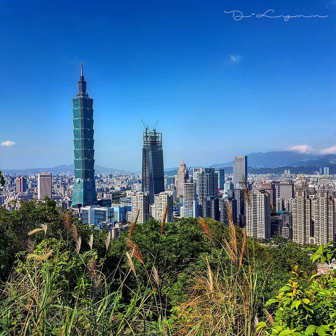 15068555_10154788775769319_5460507195427073395_o