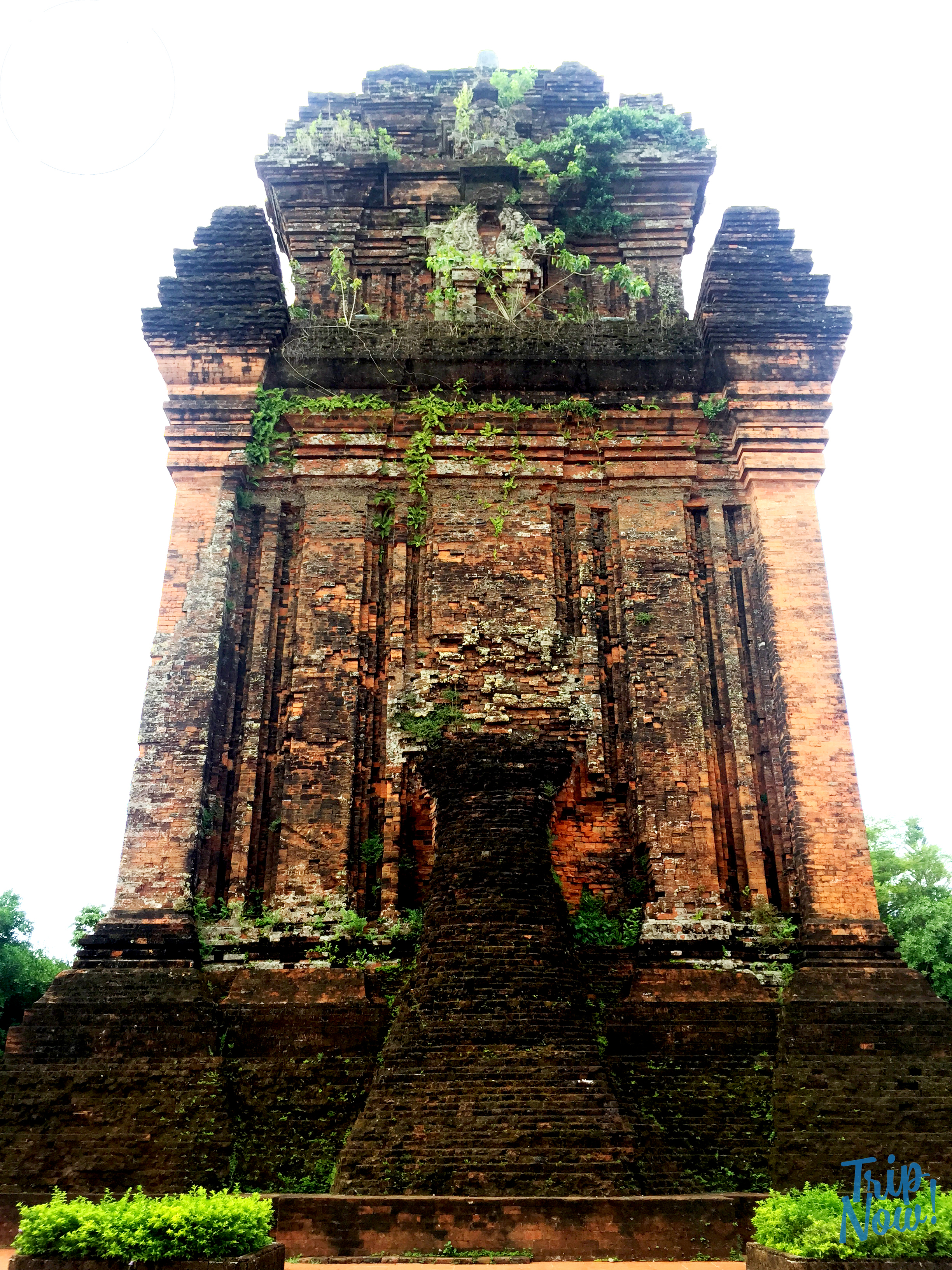 2 ngày trải nghiệm vùng đất Hoa vàng trên cỏ xanh 1.jpg