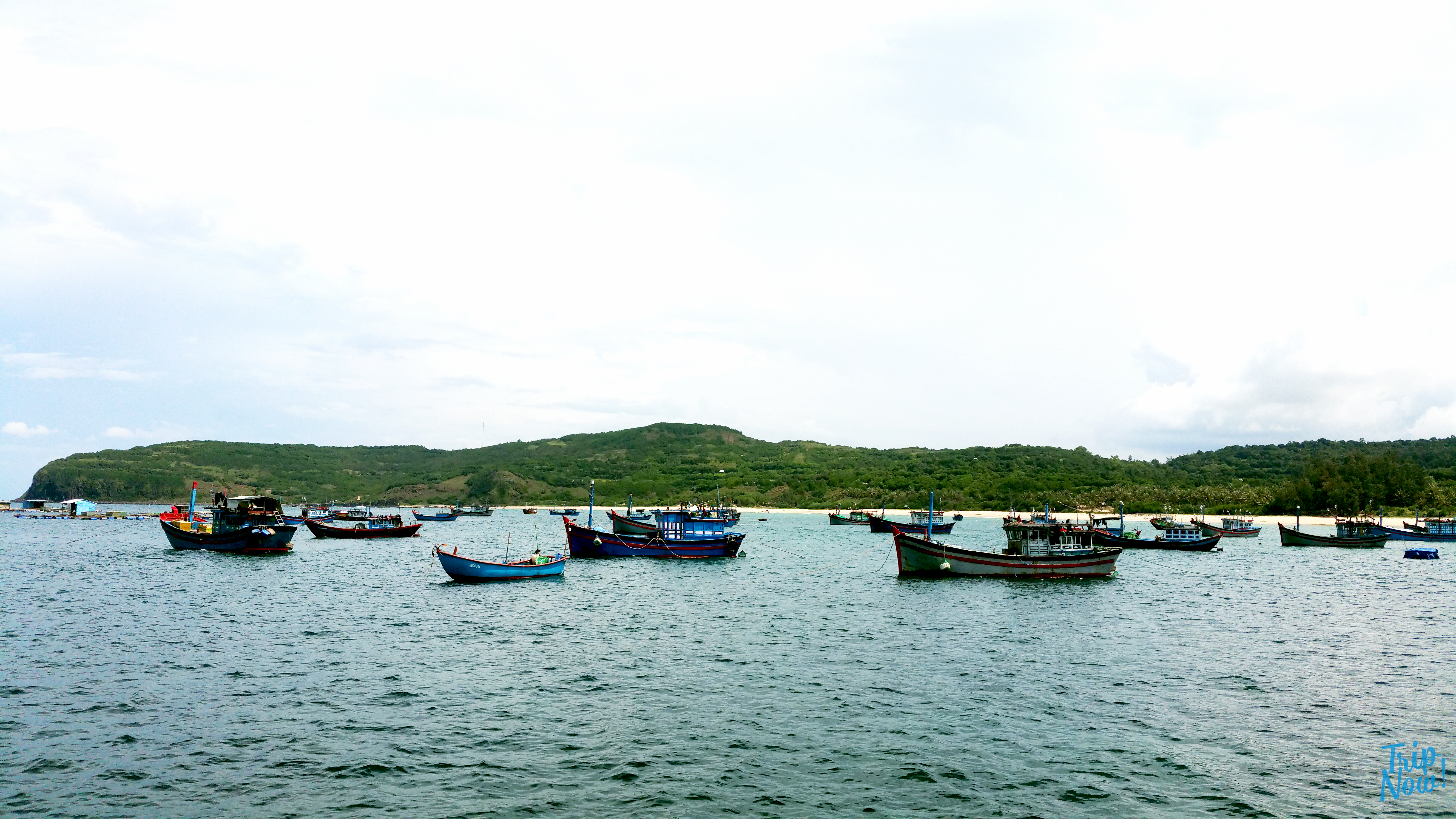 2 ngày trải nghiệm vùng đất Hoa vàng trên cỏ xanh 7.jpg