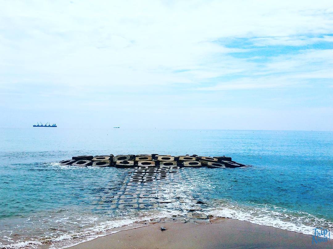 2 ngày trải nghiệm vùng đất Hoa vàng trên cỏ xanh 8