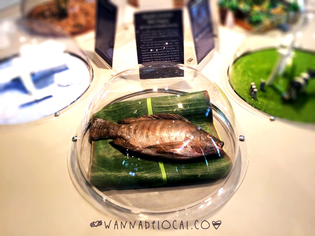 Cô nàng bảo tàng Hana: Toà nhà triển lãm&nbsp;Rattanakosin