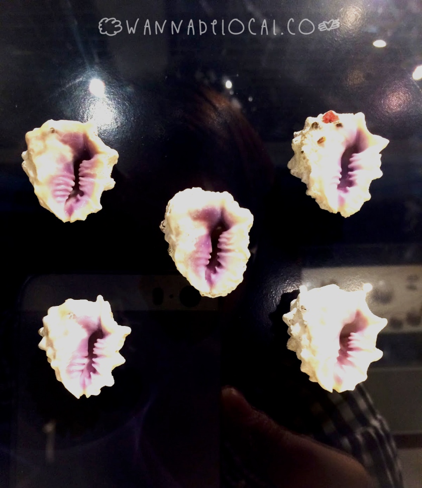 Cô nàng bảo tàng Hana: Bảo tàng vỏ ốc & Bảo tàng y học&nbsp;Sirijaj