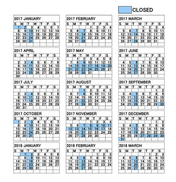 wannabelocal.co-ghiblimuseum 5