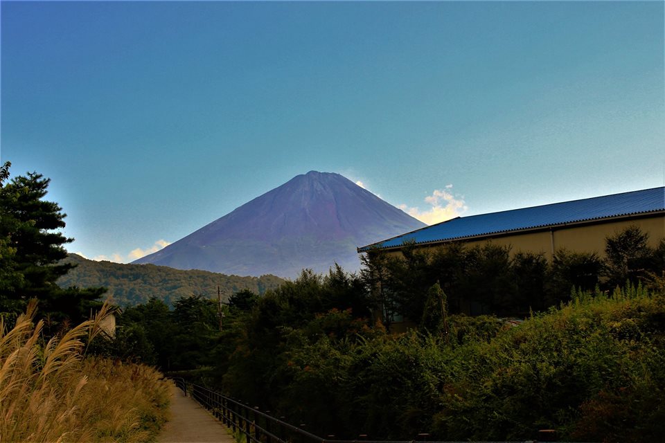 Kinh nghiệm đi Phú Sĩ Ngũ Hồ (Fuji Five Lakes) 27
