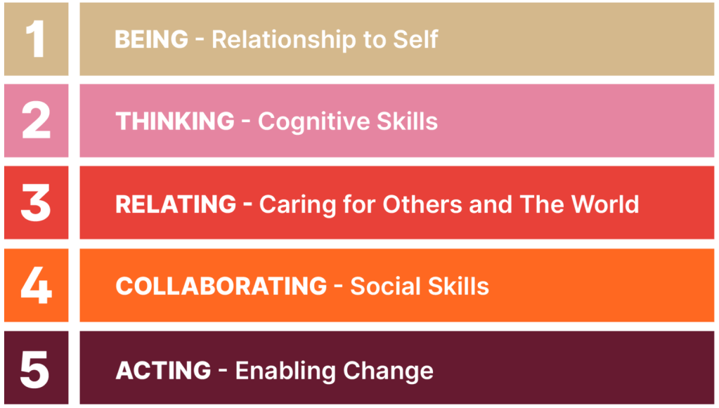 Inner Development Goal – The&nbsp;Framework