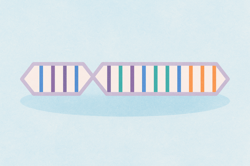 The Strength Finder – Clifton&nbsp;Strengths
