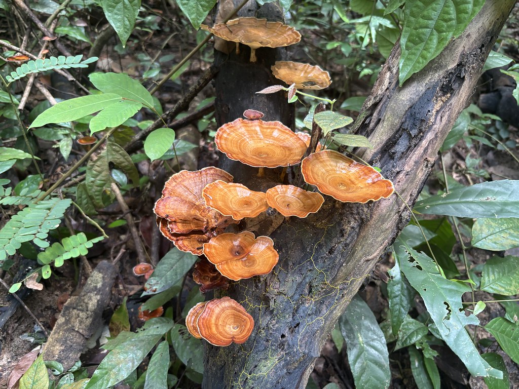 Hiking & Cycling: The Coi – Bàu Nước&nbsp;Sôi